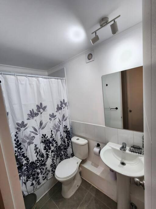 Moderno Y Centrico Departamento Apartment Los Andes